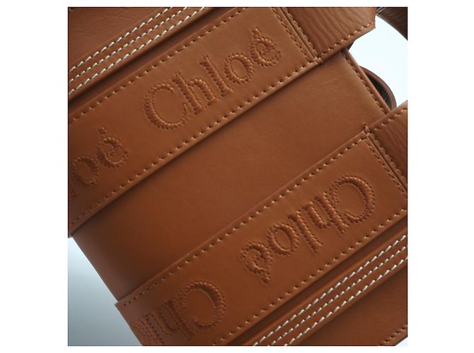 Autre Marque Bolso Chloe Woody Mini Tote Bag - vista 5