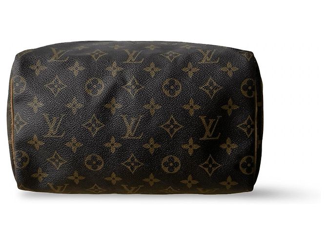 Louis Vuitton Speedy 25 - vista 6