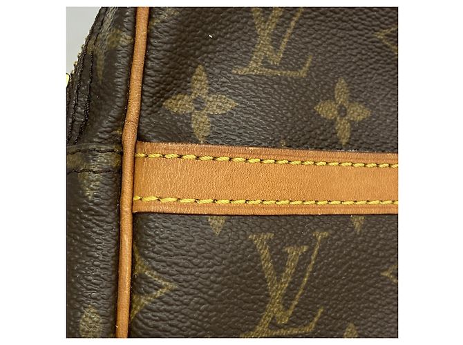 Borsa a tracolla Louis Vuitton Monogram Danube - vista 10
