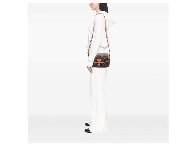 Louis Vuitton Brown Monogram Sologne - view 5