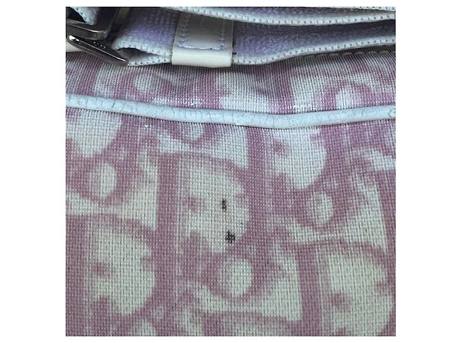 Christian Dior Trotter Pink Oblique Number 2 Borsa a tracolla - vista 12