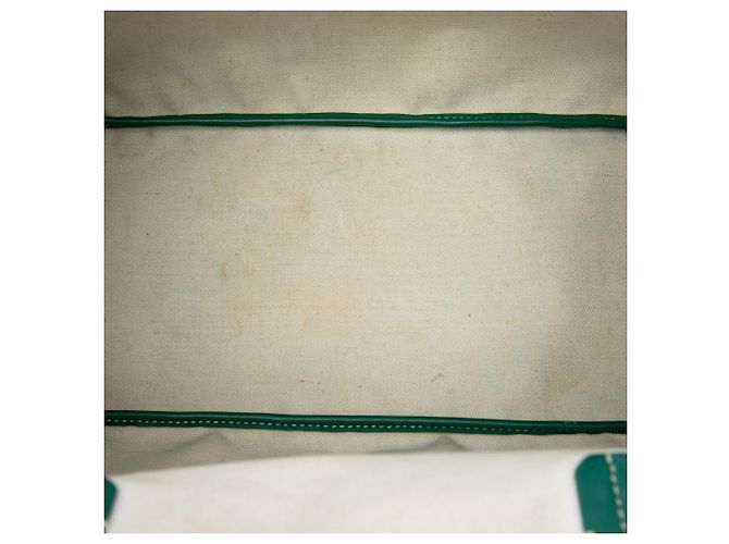 Goyard Green Goyardine Saint Louis PM - vista 4