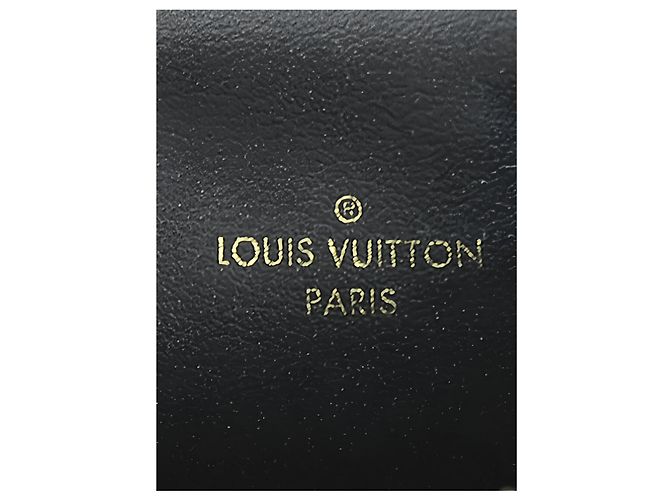 Louis Vuitton Brown Monogram Blossom Pochette Felicie - vista 10