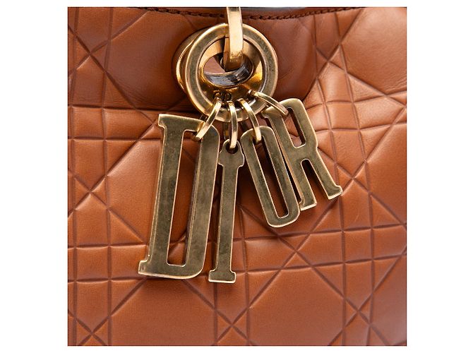 Dior Brown Large Ultra Matte Calfskin Cannage Embossed Lady Dior - vista 5
