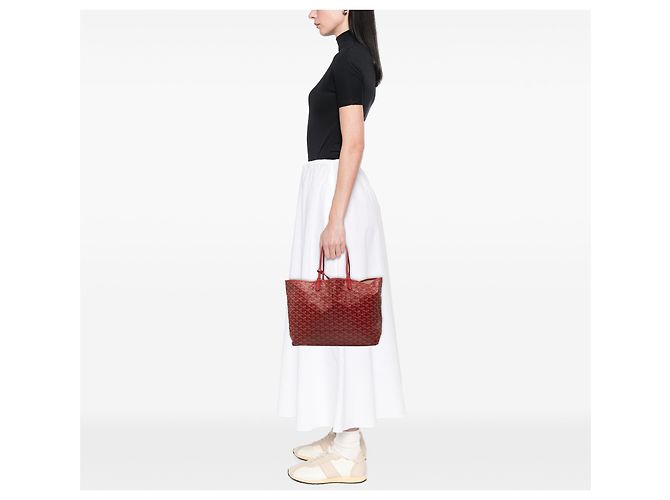 Goyard Red Goyardine Saint Louis PM - vista 8