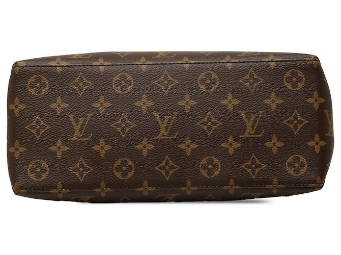 Louis Vuitton Brown Monogram Petit Palais - vista 3