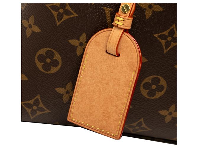 Louis Vuitton Brown Monogram Petit Palais - vista 6