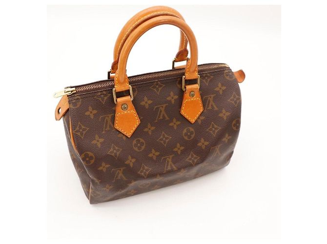 Louis Vuitton Speedy 25 Monogram Canvas - vista 10