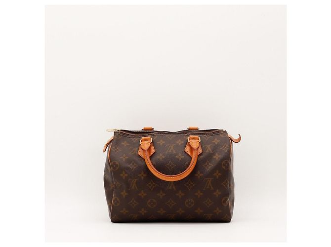 Louis Vuitton Speedy 25 Monogram Canvas - vista 4