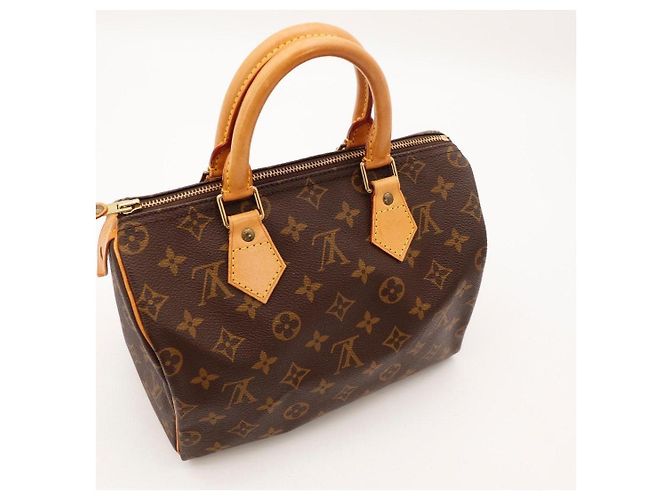 Louis Vuitton Speedy 25 Monogram Canvas - vista 10