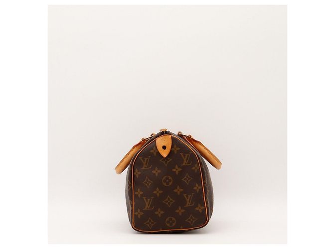 Louis Vuitton Speedy 25 Monogram Canvas - vista 3