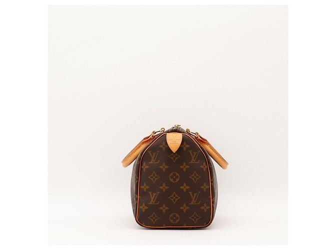 Louis Vuitton Speedy 25 Monogram Canvas - vista 5