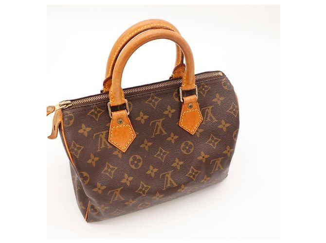 Louis Vuitton Speedy 25 Monogram Canvas - vista 11