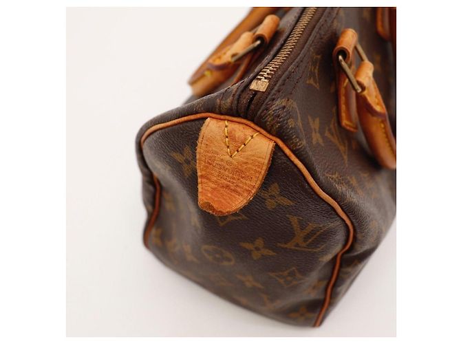 Louis Vuitton Speedy 25 Monogram Canvas - vista 12