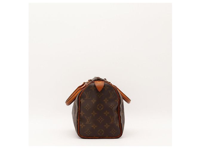 Louis Vuitton Speedy 25 Monogram Canvas - vista 5