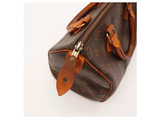 Louis Vuitton Speedy 25 Monogram Canvas - vista 9