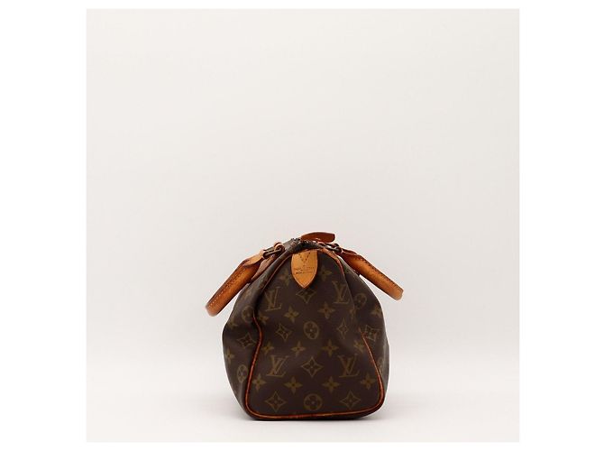Louis Vuitton Speedy 25 Monogram Canvas - vista 5
