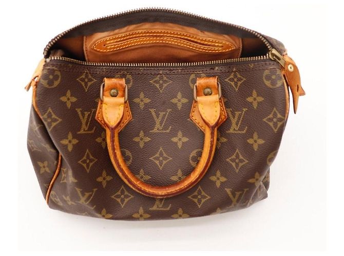 Louis Vuitton Speedy 25 Monogram Canvas - vista 7
