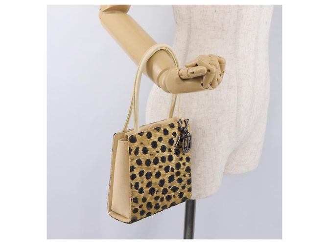Bolsa Christian Dior Canvas Beige Silver - vista 23