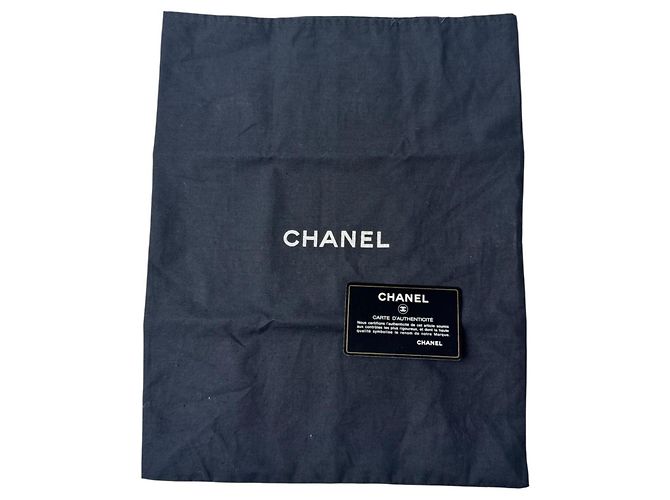Bolsa de Ombro Chanel Matelassé Paris Limited Edition Coco Mark Chain - vista 19