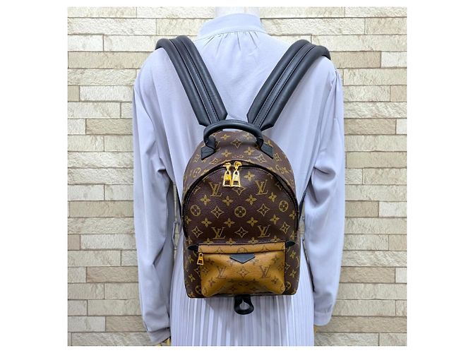Mochila Louis Vuitton Palm Springs PM - vista 2