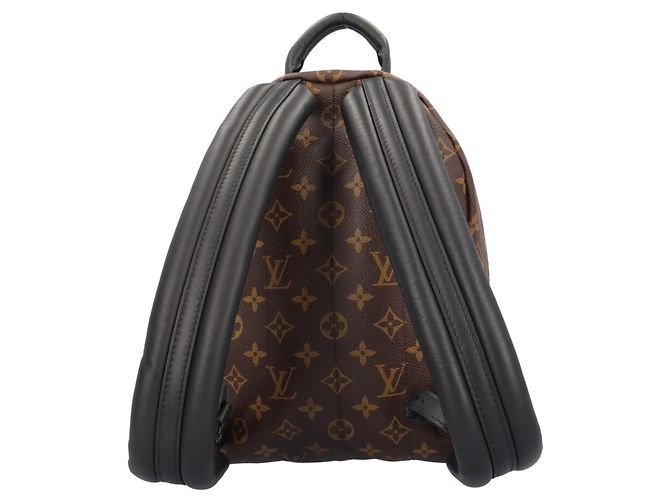 Mochila Louis Vuitton Palm Springs PM - vista 3