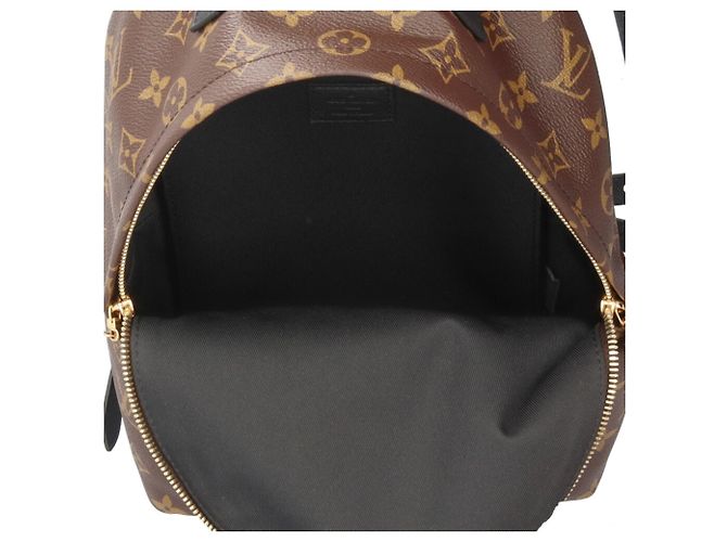 Mochila Louis Vuitton Palm Springs PM - vista 6