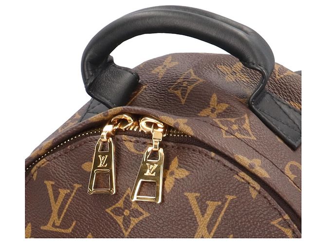 Mochila Louis Vuitton Palm Springs PM - vista 8