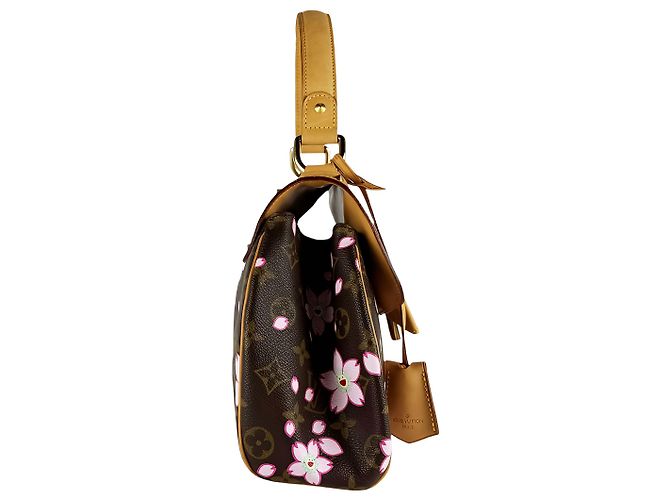 Louis Vuitton Brown Takashi Murakami Monogram Cherry Blossom Sac Retro - vista 13