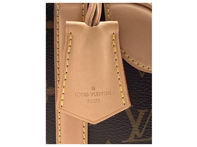Louis Vuitton Brown Monogram Valisette PM - vista 11
