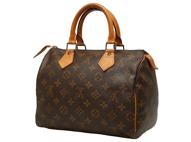 Louis Vuitton Speedy 25 Mini Boston Bag - Ansicht 2