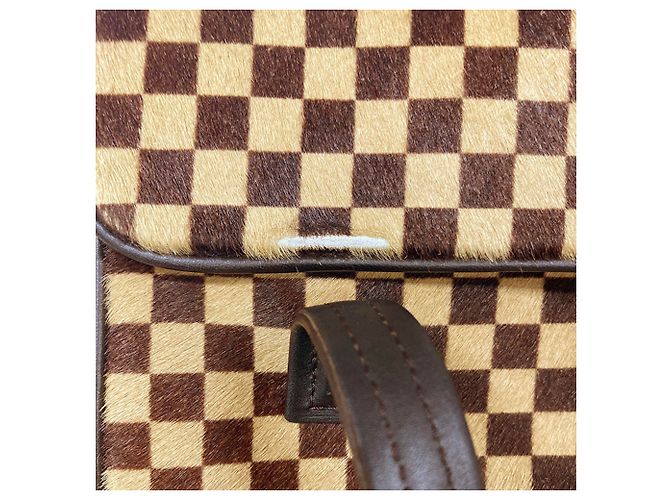 Bolso Louis Vuitton Damier Sauvage Lion Dice - vista 10