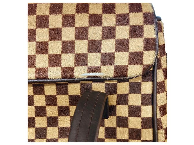 Bolso Louis Vuitton Damier Sauvage Lion Dice - vista 11