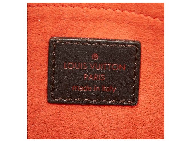 Bolso Louis Vuitton Damier Sauvage Lion Dice - vista 14