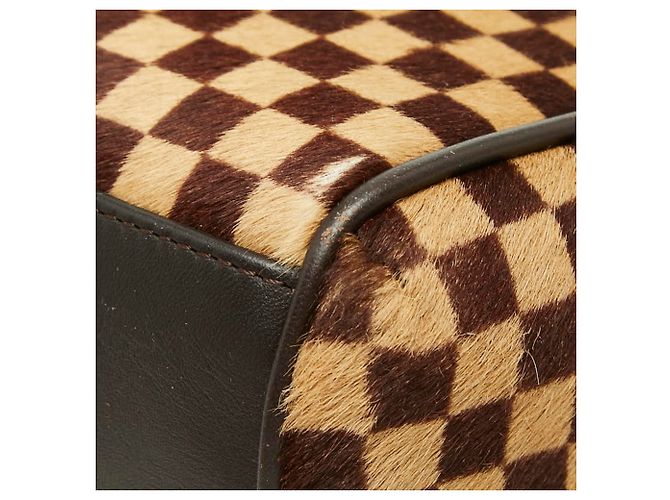 Bolso Louis Vuitton Damier Sauvage Lion Dice - vista 4