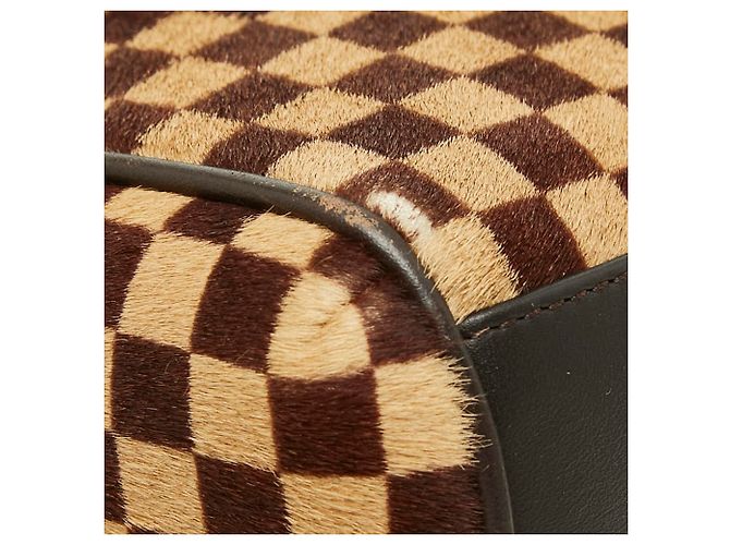Bolso Louis Vuitton Damier Sauvage Lion Dice - vista 5