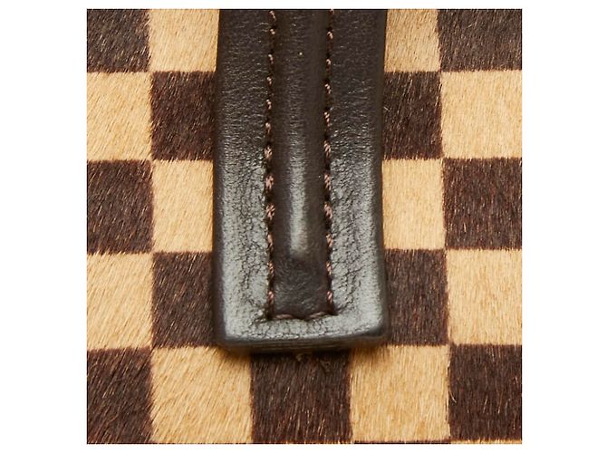 Bolso Louis Vuitton Damier Sauvage Lion Dice - vista 8