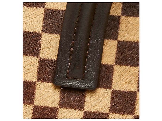 Bolso Louis Vuitton Damier Sauvage Lion Dice - vista 9