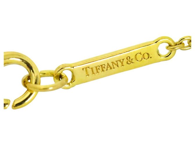 Autre Marque Collana Tiffany & Co. Metro con diamante ovale - vista 4