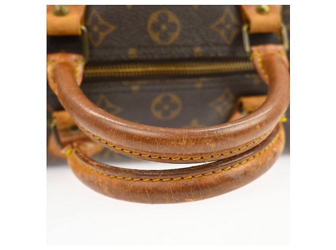 Louis Vuitton Speedy Monogram Canvas 30 - vista 6