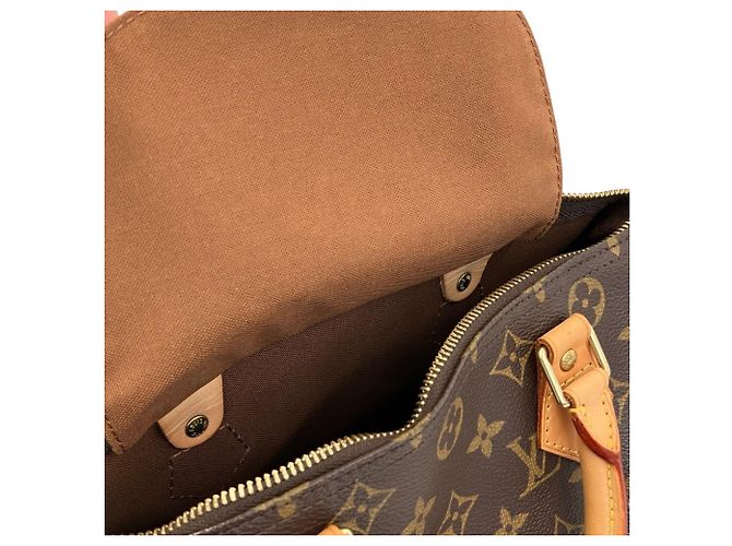 Louis Vuitton Speedy 30 Monogram Mini Boston Bag - vue 10