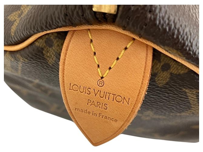 Louis Vuitton Speedy 30 Monogram Mini Boston Bag - vue 12
