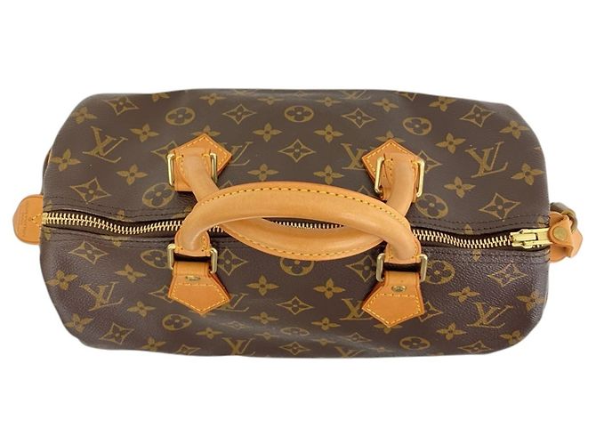 Louis Vuitton Speedy 30 Monogram Mini Boston Bag - vue 4