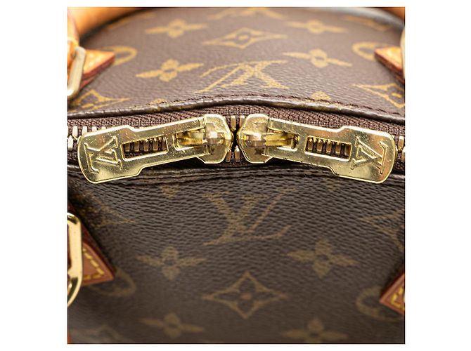Sac à main Louis Vuitton Monogram Alma PM Marron - vue 6