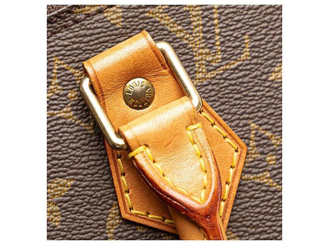 Sac à main Louis Vuitton Monogram Alma PM Marron - vue 7