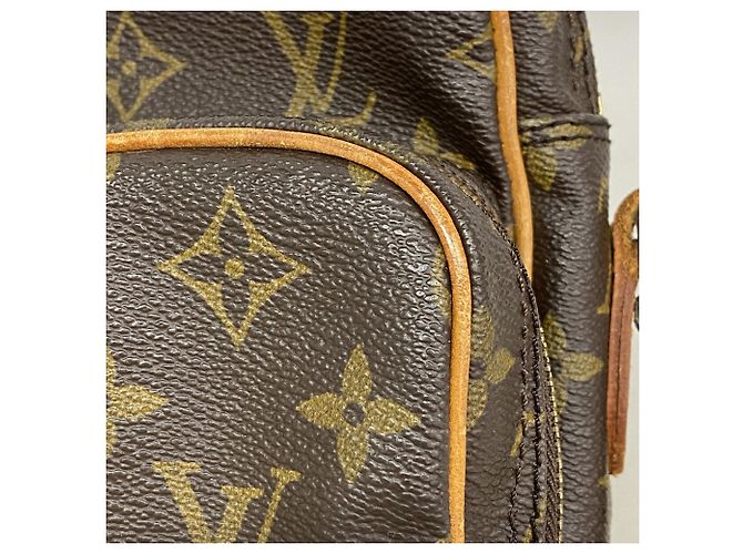 Louis Vuitton Monogram Amazon Shoulder Bag - view 8