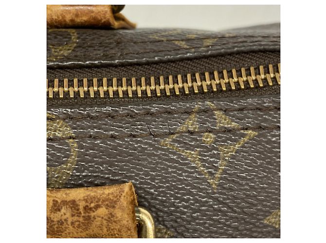 Bolso de mano Louis Vuitton Monogram Speedy 25 - vista 10