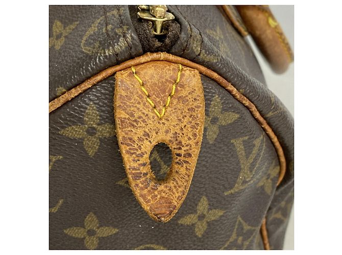 Bolso de mano Louis Vuitton Monogram Speedy 25 - vista 12