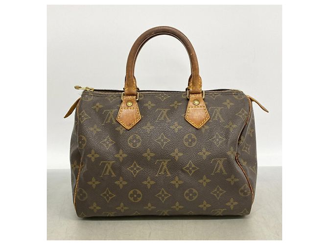 Bolso de mano Louis Vuitton Monogram Speedy 25 - vista 13