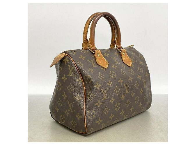 Bolso de mano Louis Vuitton Monogram Speedy 25 - vista 2